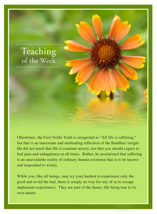 Dancing With Life - Teaching For the week